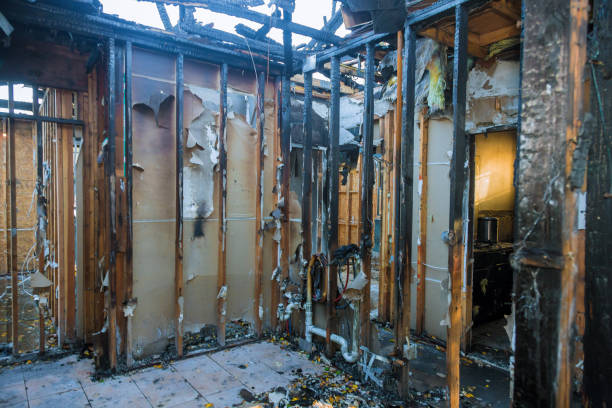 Professional Smoke Damage Removal technician working in Avilla, AR